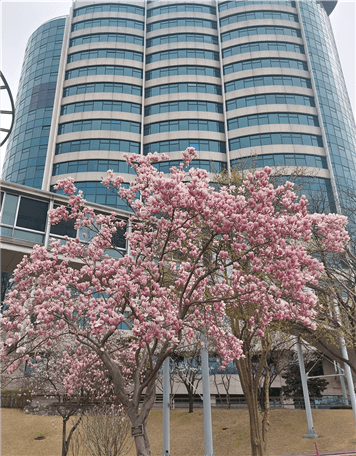 6bbwgvvlxbsaernewbsedqug20260119